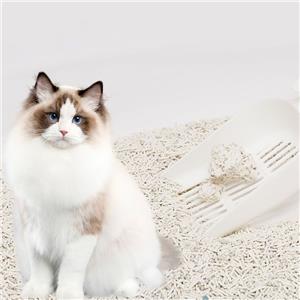 Ultra Absorbent Natural Mini-Pellet Cat Litter Low Tracking Odor Control Activated Charcoal Strong Clumping Self-Cleaning Litter