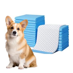 Basic Quick-Dry Dog and Puppy Pee Pads Leak-Proof Design for Potty Training Regular Size High Absorbency Pet Diaper