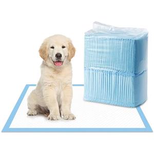 Basic Quick-Dry Dog and Puppy Pee Pads Leak-Proof Design for Potty Training Regular Size High Absorbency Pet Diaper