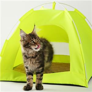 Cat Tent for Indoor Outdoor Dog House Kitten Tent Suitable for Small Dogs Pet Cute Cave Nest Dog Houses
