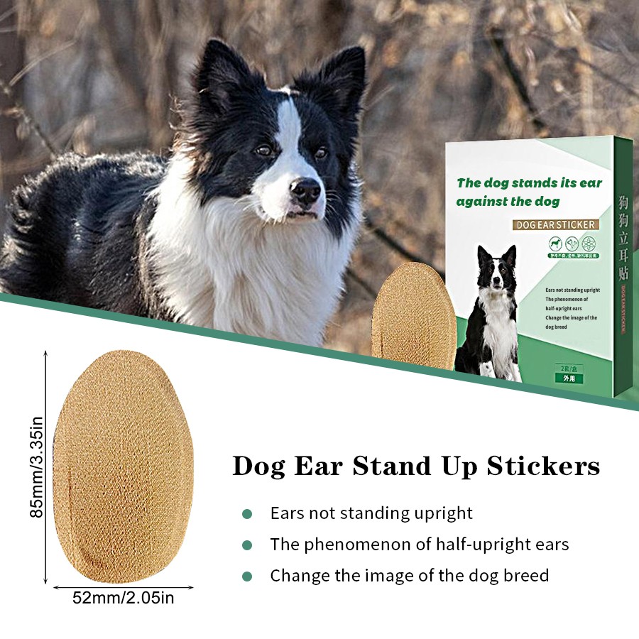 Medium to Large Dog Ear Support Tool Doberman Ear Posting Kit with Stand Sticker up Tool Pet Grooming Product