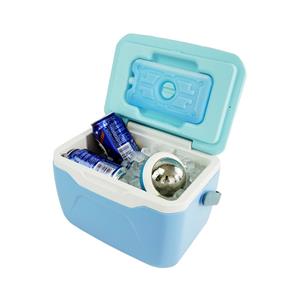 Portable Manual Massager Tool with Massage Ball Cold Roller Therapy for Back Leg Muscles Muscle Relaxation Ice Pack Cooler Box