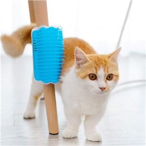 Automatic Rotating Cat Massager and Scratcher, Interactive Grooming Brush with Catnip for Relieving Tension