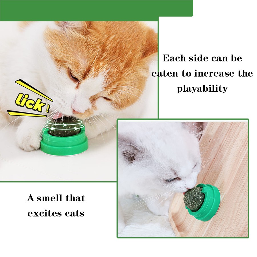 wall Catnip Ball Toy