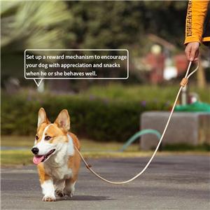 1.5m Nylon Braided Dog Leash for Small Medium Large Dogs Cats Night-Reflective Hands-Free Lighting Padded for Comfort