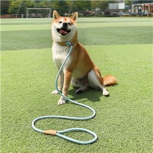 1.5m Nylon Braided Dog Leash for Small Medium Large Dogs Cats Night-Reflective Hands-Free Lighting Padded for Comfort