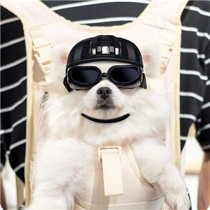 Pet Helmet Dog Motorcycle Helmet Dog Hard Hat Outdoor Sport Pet Cap for Cats Small Medium Large Dogs