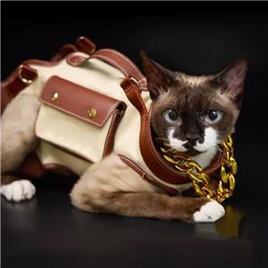 Portable Canvas Pet Backpack Breathable Mesh Messenger Bag for Cats and Dogs for Spring Summer Autumn Winter Travel