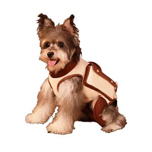 Portable Canvas Pet Backpack Breathable Mesh Messenger Bag for Cats and Dogs for Spring Summer Autumn Winter Travel