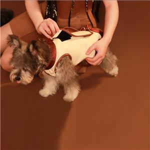 Portable Canvas Pet Backpack Breathable Mesh Messenger Bag for Cats and Dogs for Spring Summer Autumn Winter Travel