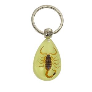 Insect Specimen Marine Keychain Real Starfish Crab Shell Pearl Scorpion Resin Material for Durable Bright Colors Clearly Visible
