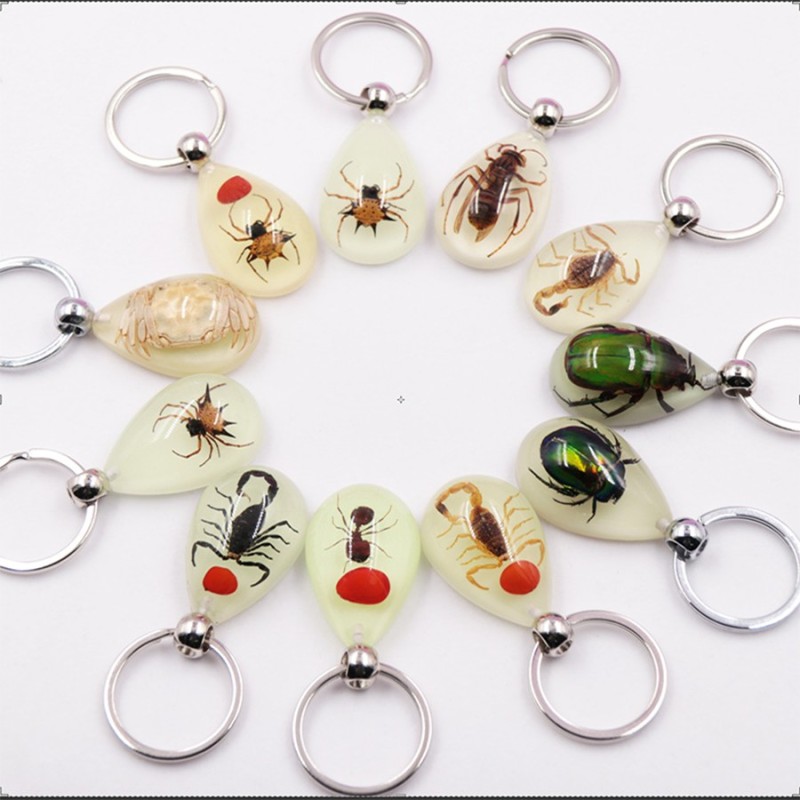 Insect Specimen Marine Keychain Real Starfish Crab Shell Pearl Scorpion Resin Material for Durable Bright Colors Clearly Visible
