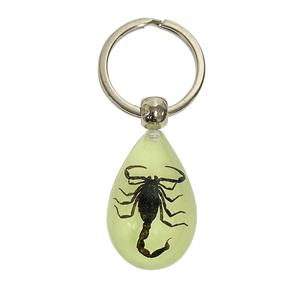 Insect Specimen Marine Keychain Real Starfish Crab Shell Pearl Scorpion Resin Material for Durable Bright Colors Clearly Visible