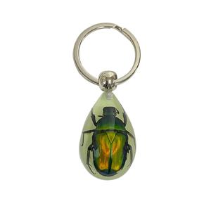 Insect Specimen Marine Keychain Real Starfish Crab Shell Pearl Scorpion Resin Material for Durable Bright Colors Clearly Visible