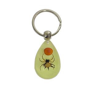 Insect Specimen Marine Keychain Real Starfish Crab Shell Pearl Scorpion Resin Material for Durable Bright Colors Clearly Visible
