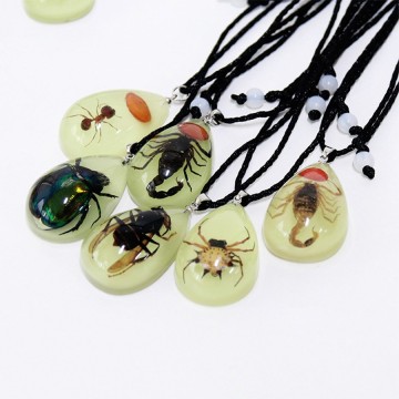 Real Bugs in Large Resin Pendant Necklace. Choice of Either Clear/colour or Glow