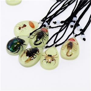 Real Scorpion Pendant Necklace for Men and Women - Resin Bug Necklace, Scorpion Pendant Necklace