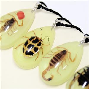 Real Scorpion Pendant Necklace for Men and Women - Resin Bug Necklace, Scorpion Pendant Necklace