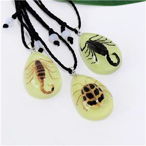 Real Scorpion Pendant Necklace for Men and Women - Resin Bug Necklace, Scorpion Pendant Necklace
