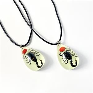 Real Scorpion Pendant Necklace for Men and Women - Resin Bug Necklace, Scorpion Pendant Necklace