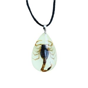 Real Scorpion Pendant Necklace for Men and Women - Resin Bug Necklace, Scorpion Pendant Necklace