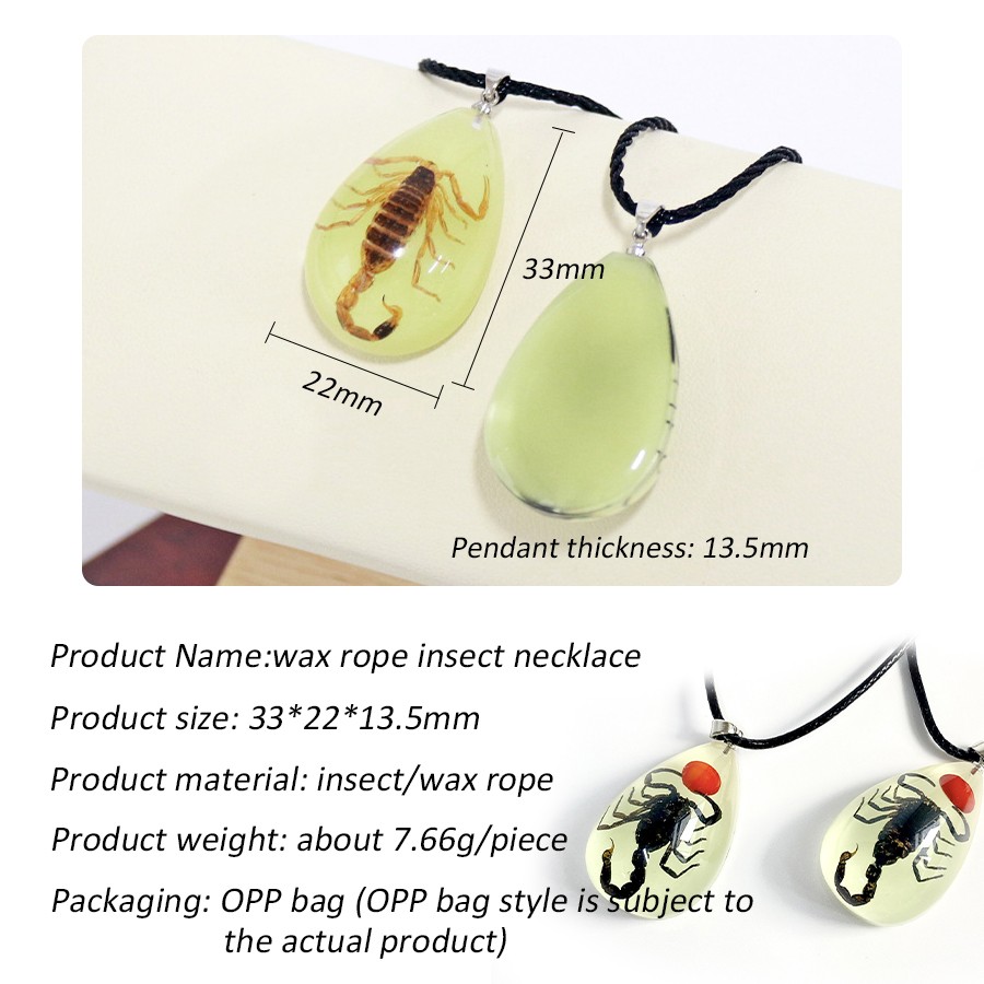 Real Bugs in Large Resin Pendant Necklace. Choice of Either Clear/colour or Glow
