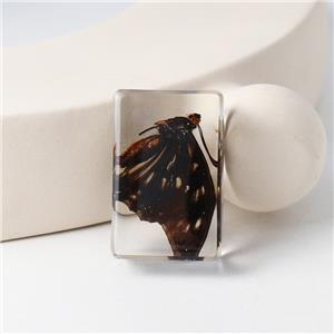Real Butterfly Specimens Set Resin Crafts Paperweight Square Frame Taxidermy Butterfly Display for Home School Science Education
