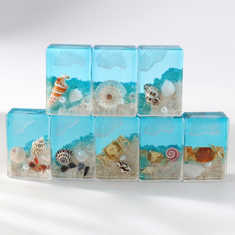 Real Insect Paperweight Taxidermy Specimen Educational Biological Model Resin Crafts for Teaching Bug Beetle Specimen