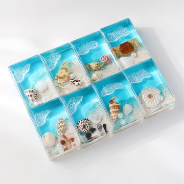 Marine Organisms Natural Cognition Specimens Resin Crafts Ornaments Gifts Home Decoration Accessories
