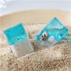 Real Insect Paperweight Taxidermy Specimen Educational Biological Model Resin Crafts for Teaching Bug Beetle Specimen