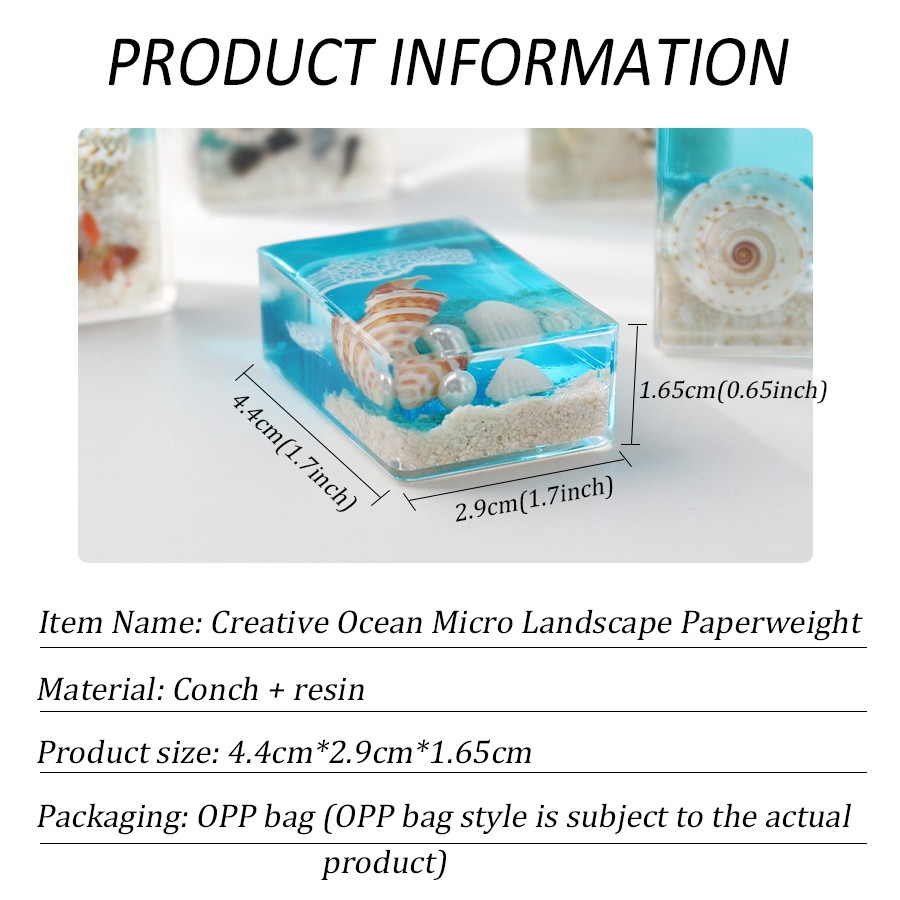 Real Insect Paperweight Taxidermy Specimen Educational Biological Model Resin Crafts for Teaching Bug Beetle Specimen