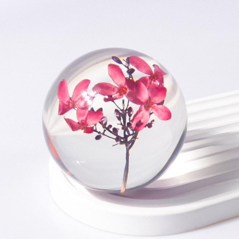 Home Decor Resin Crystal Ball - Contains Assorted Dried Plants for Aesthetic Paperweight