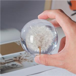 Resin Dried Flower Crystal Ball Paperweight - Customizable for Christmas/Birthday/Valentine's Day Gifts
