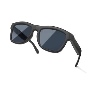 AI Smart Glasses with Touch-Dimming Lenses & 100+ Languages Translation