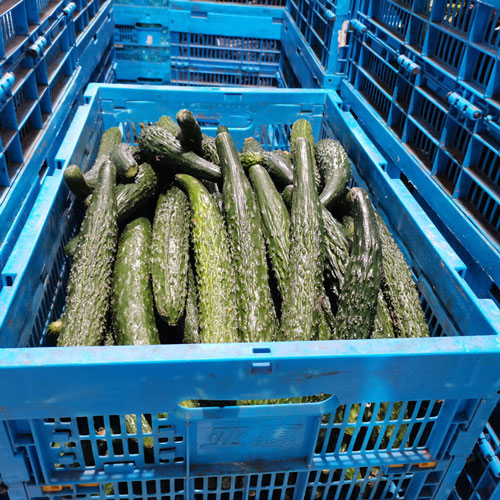 Реальное применение в реальных сценариях