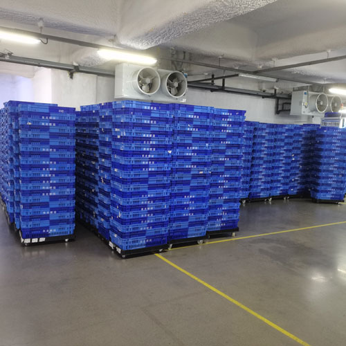 Avaliações de Clientes