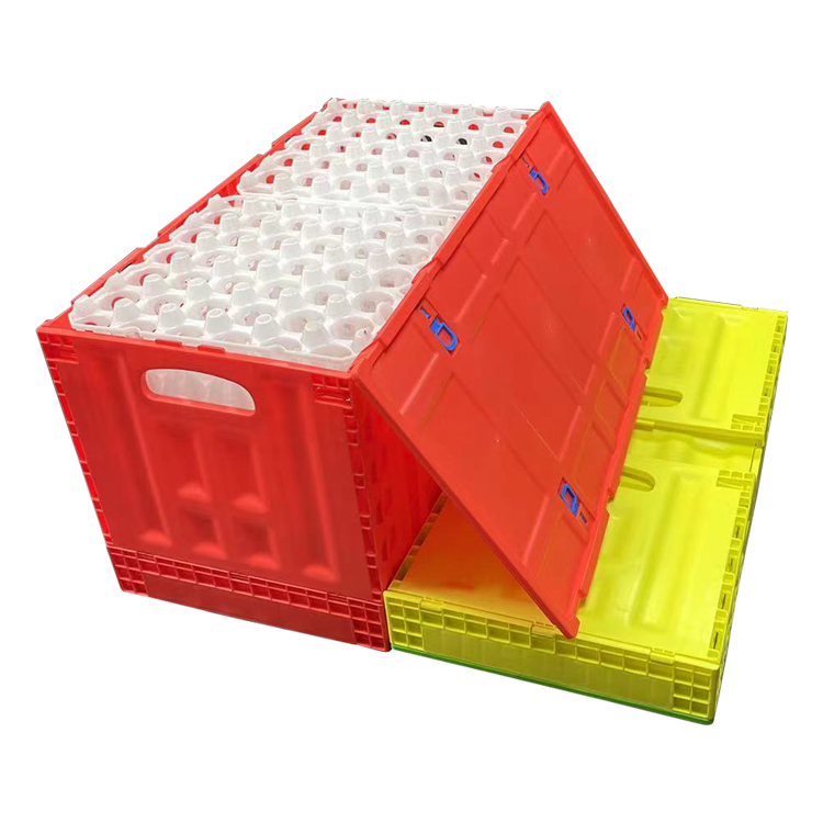 Caja de huevos plegable de plástico