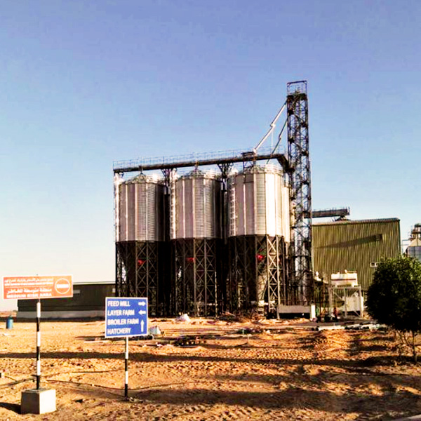 Oman Grain Silo Project