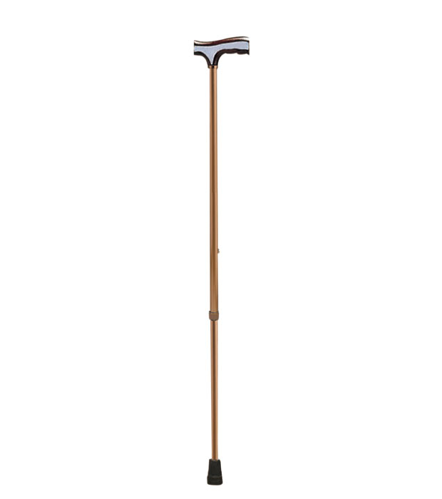 Bronze walking stick