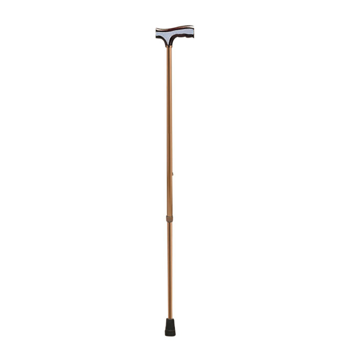 Bronze Walking Stick