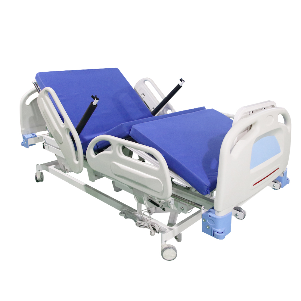 Electric Standing Bed