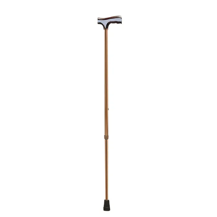 walking stick