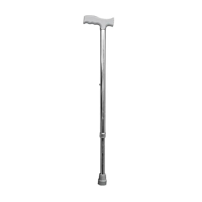 walking stick walking stick