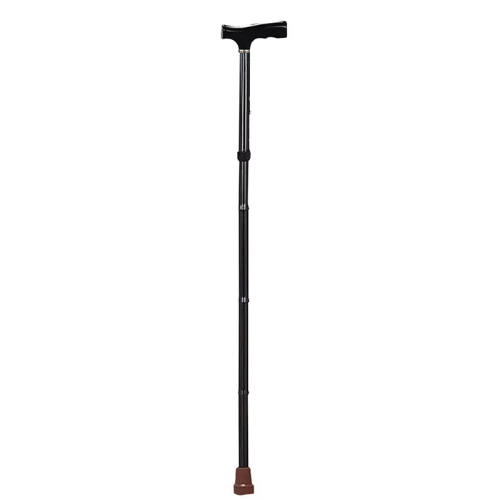 Walking Stick
