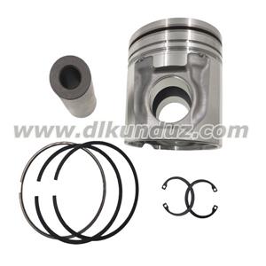 BFM1013 piston set 04253313 04501348