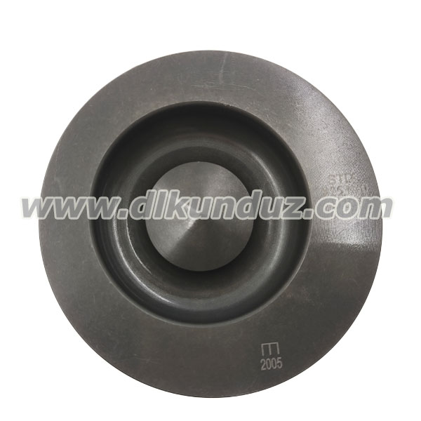 D6D BF6M2012 Piston set 04258283 04501365 04252842