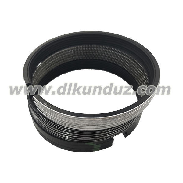 D4D TCD2012 BFM2012 Set of piston rings 04501092