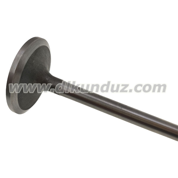 BF6M2012 Inlet Valve