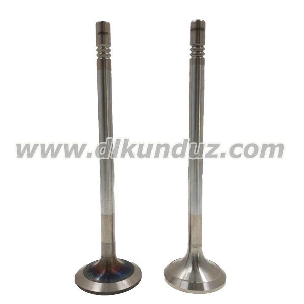D7F TCD2013 4v engine Inlet valve 04903005 04900685 20833932