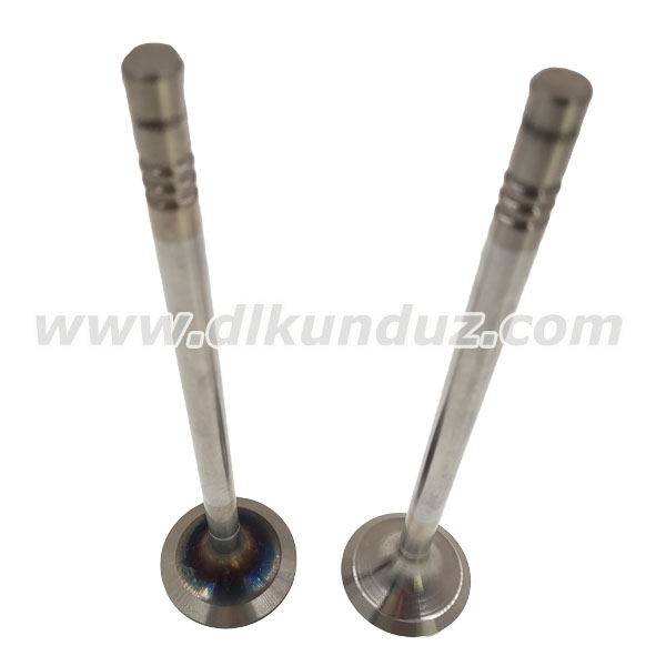 Acheter Soupape d'admission moteur D7F TCD2013 4v 04903005 04900685 20833932,Soupape d'admission moteur D7F TCD2013 4v 04903005 04900685 20833932 Prix,Soupape d'admission moteur D7F TCD2013 4v 04903005 04900685 20833932 Marques,Soupape d'admission moteur D7F TCD2013 4v 04903005 04900685 20833932 Fabricant,Soupape d'admission moteur D7F TCD2013 4v 04903005 04900685 20833932 Quotes,Soupape d'admission moteur D7F TCD2013 4v 04903005 04900685 20833932 Société,